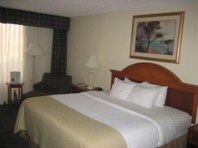 Holiday Inn Greenville-I-85 At Augusta Road Grandville Esterno foto